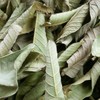 Dried Whole Guava Leaves, Natural Guava Tea, Loose Leaf Tea