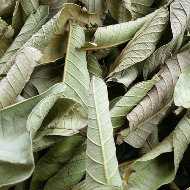Dried Whole Guava Leaves, Natural Guava Tea, Loose Leaf Tea