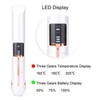 Professional USB Charging Mini Electric Hair Straightener Curler Cordless Hair