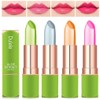 4 Colours Organic Aloe Vera Moisturizing Crystal Jelly Lipsticks, Dulele