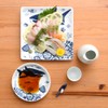 natural69 Cocomarine (Small Plate) Fish Flock 1