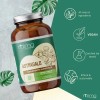 Astrágalo Adaptógeno Vegano en Cápsulas para Inmunidad y Energía