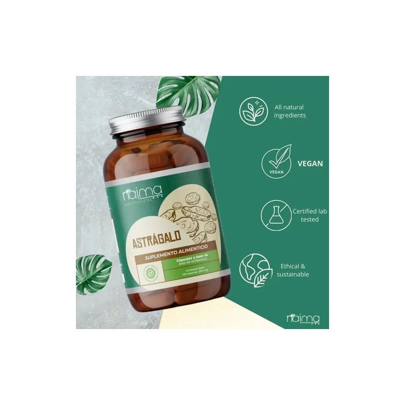 Astrágalo Adaptógeno Vegano en Cápsulas para Inmunidad y Energía