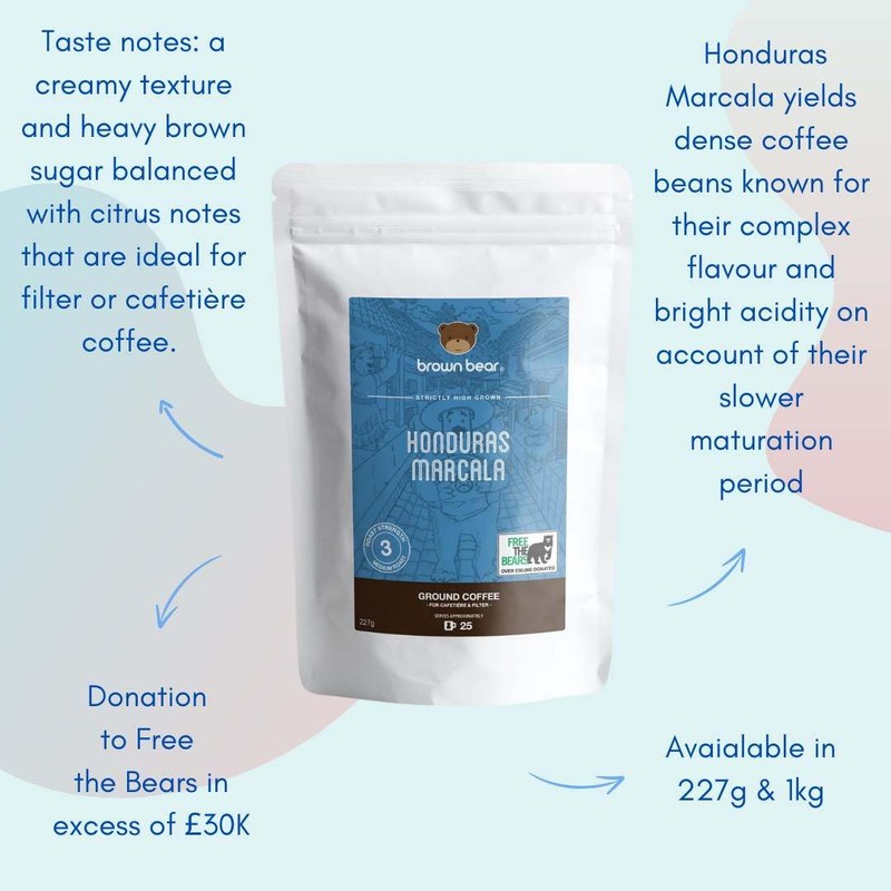 Honduras Medium Roast Coffee Beans 227g – Honduras Marcala Strictly