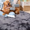 CAROMIO Fluffy Soft Area Rug 5' x 8', Shag Fuzzy