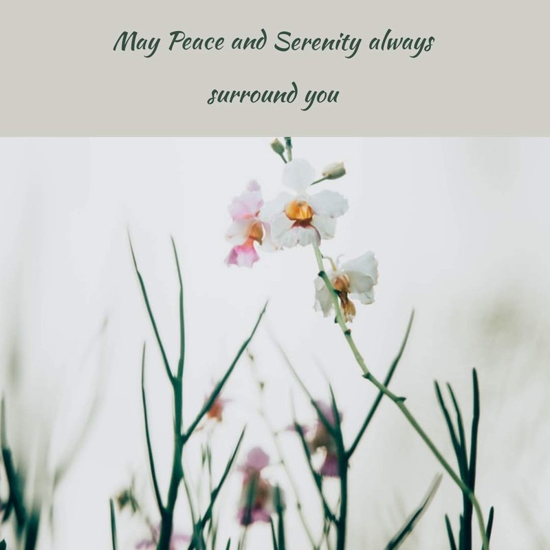 Greenwood Essential Pure Birch Tar Essential Oil, Betula Alba, 30