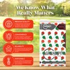 Grandipity Red and Green Holiday Snow Flake Design 72 Pack