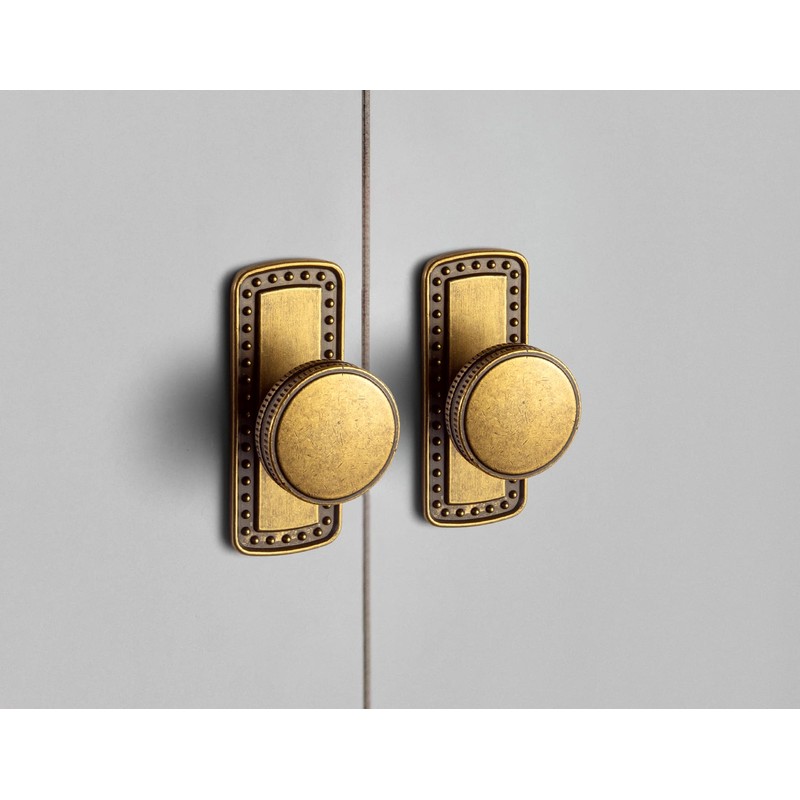 Goo-Ki Cabinet Knobs with Base Plate/Backplate Zinc Alloy Hardware for