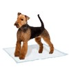 Ferplast Genico Dog Mat, Large, 60 x 90 cm