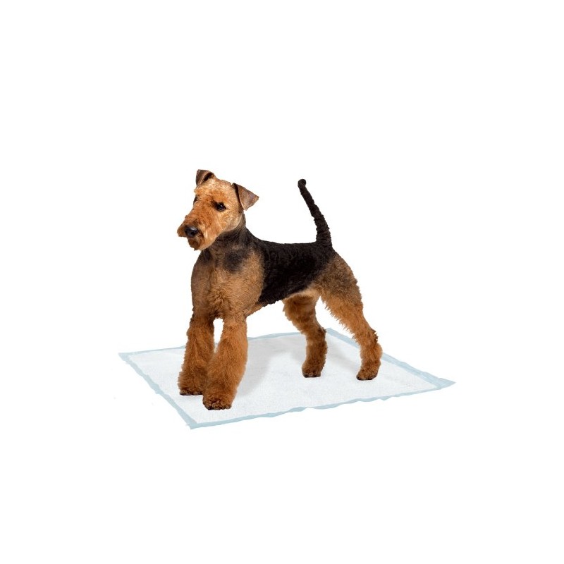 Ferplast Genico Dog Mat, Large, 60 x 90 cm