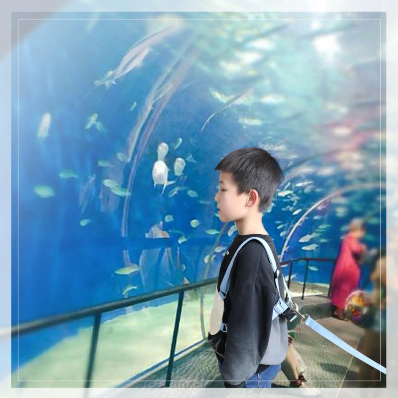 Walking Harness with Leather Panel for Older Children Autism, Special