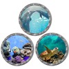 akindou 3D Wall Stickers Dolphins Sea Turtle Tropical Fish Wallpaper