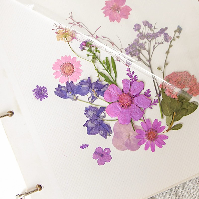Alipis Dried Flower Storage Scrapbook Loose Leaf Album Leaf Embossing