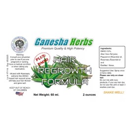 Ganesha Herbs Natural Hair Loss Treatment  Fast Growth Regrowth DHT  Stimulator Lotion Spray