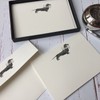 Wagtail Designs Notelets with a Dachshund Illustration in a lovely