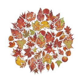 ZMLSED Autumn Leaves Stickers, 40 PCS Aesthetic Fall Stickers for Scrapbooking, deciduous Decals Waterproof Vinyl Stickers for Bullet Junk Journal Planner Laptop Diary Album