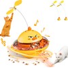 hooroor Cat Toy w/Interactive Laser, Spinning Feather & Butterfly Wand
