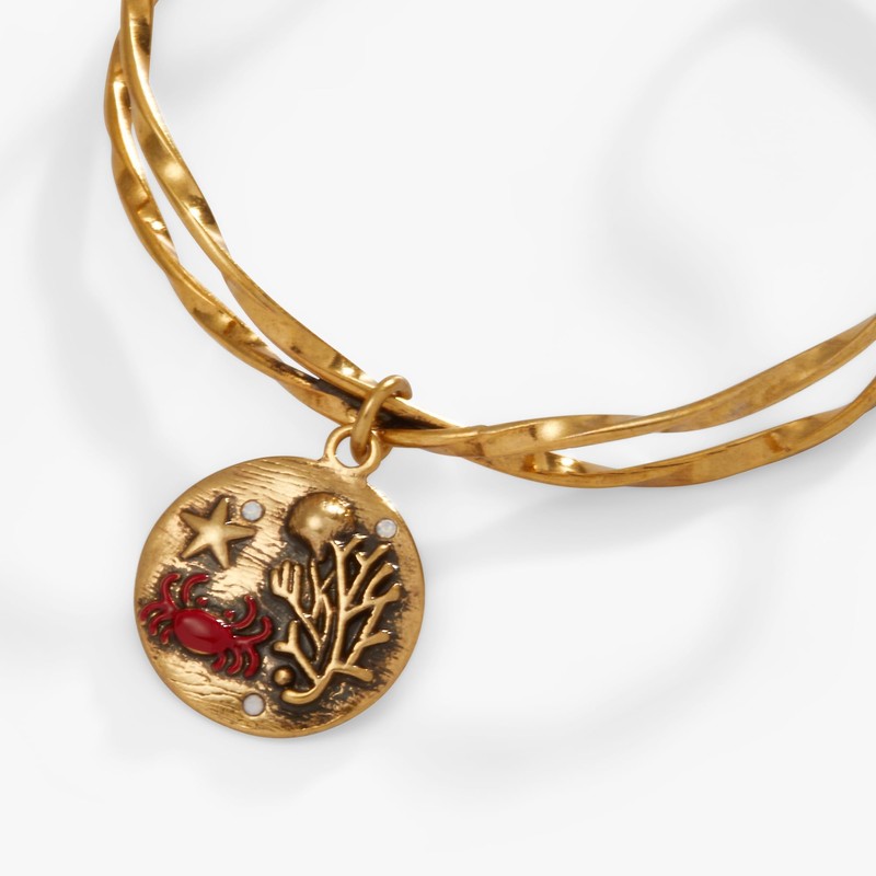 Alex and Ani Sea Scene Twisted Cuff