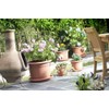 Whitefurze G01R30 30cm Milano Round Planter - Terracotta