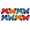 16 Large Butterfly Window Sticker Decorations - Beautiful Double Sided
