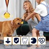 Homly Dog Frisbee & Balls Set – Durable Dog Toys