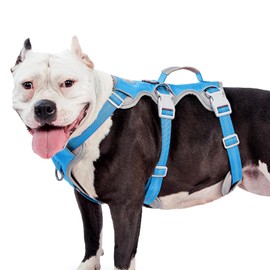 Huntboo Escape Proof Harness for Dogs, No Escape Dog Harness, No Pull Dog Harness for Large Dogs with Handle, Reflective, Breathable, Durable, Adjustable Vest for Walking, and Running Gear (Blue, L)
