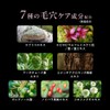 CLELU Clay Pack, Kuro, Rinse Type, Moroccan Musk Scent, 3.3