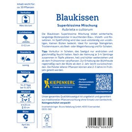 Kiepenkerl Blue Cushion Superbissima Mix 106063