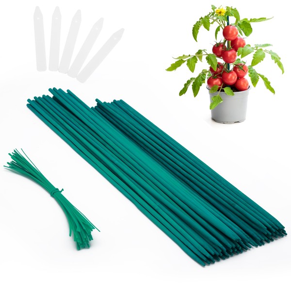 PERSZEN Plant Stakes 50 PCS Garden Green Bamboo Sticks Plant Support Stakes for Indoor and Outdoor Plants, Wooden Sign Posting Flower Pot Garden Stakes(15" 25pcs+17" 25pcs)