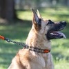 Herm Sprenger Black Stainless Steel Dog Collar with Quick Release