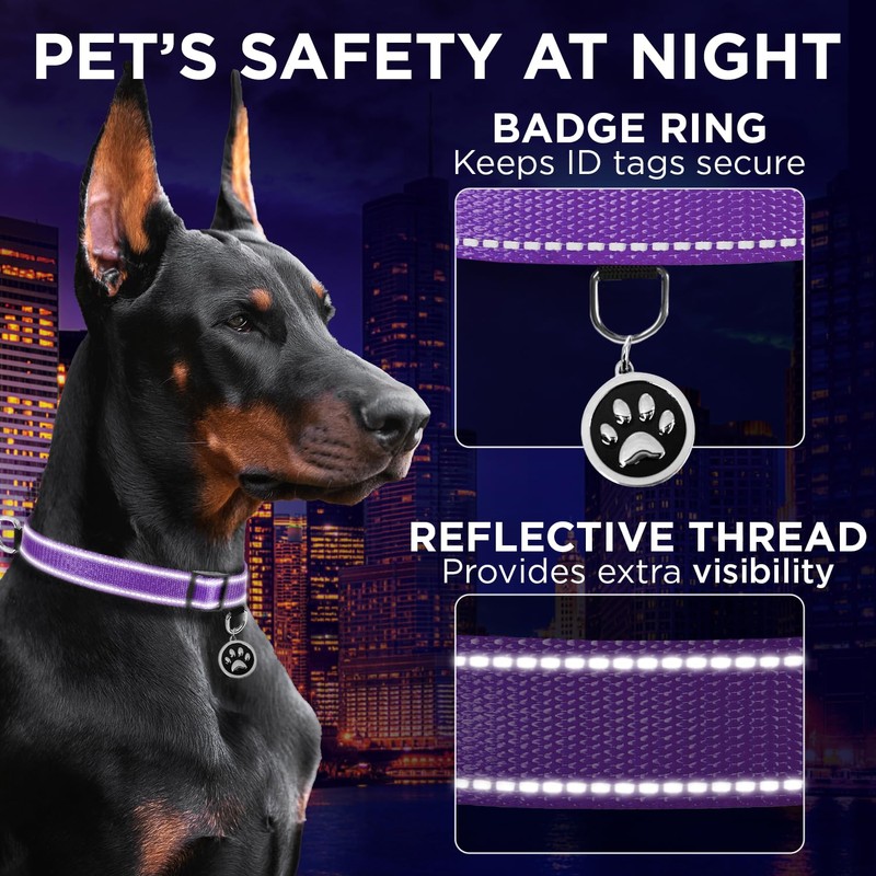 TECEUM Reflective Dog Collar – Purple – M – Extra