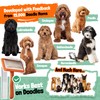Doodle Brush for Dogs - Goldendoodle Brush with Poodle Comb