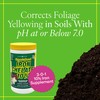 Grow More 3-0-1 Organic Iron Chelate Concentrate (10%) for Greener