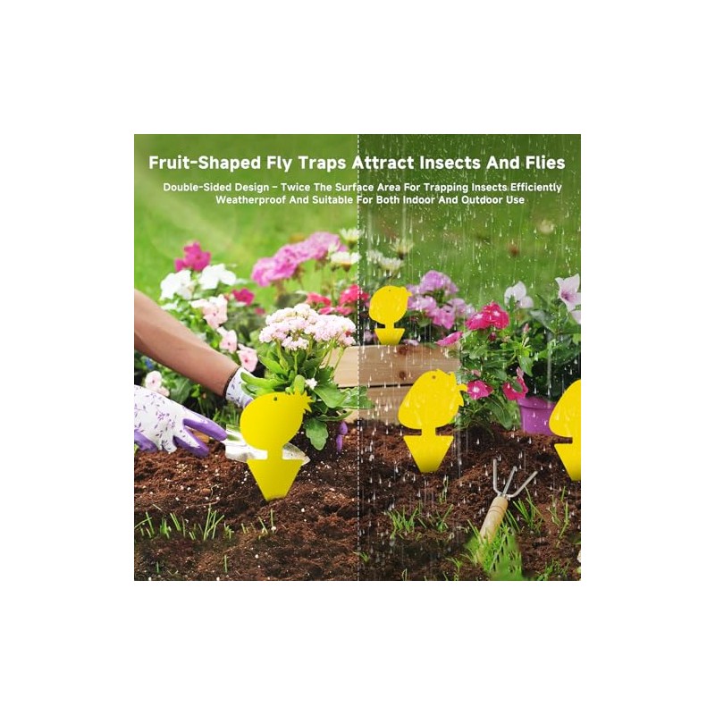 40 Pack Yellow Sticky Traps for Fruit Flies and Gnats
