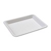 T005 Disposable Square Plates, Eco and Fashionable, E-Mold Square Tray,