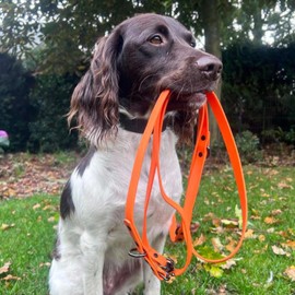 Sniffls Small & Medium Dogs' Waterproof, Lightweight, Adjustable Orange Dog Lead, 150g, 1.3cm x 220cm, Recycled PET Bottles, Swivel Clip
