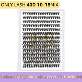 B&Q LASH l 30D+40D Lash Kit l Natural Look Long Lasting Springtok Lashes Beginner Friendly Eyelashes with Bond&Seal Remover Extensions at Home:_ONLY LASH 40D 10-18MIX