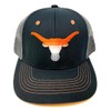 National Cap Texas Longhorns Gradient Fade Mascot Logo Flat Bill