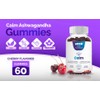 Mood Gummies Mood Gummies Calm - 3000mg Sugar Free Ashwagandha
