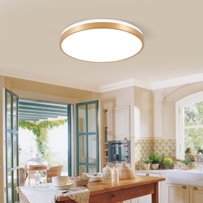 HOREVO RGB Flush Mount Light Fixture with Bluetooth Speaker, 24W