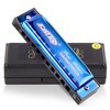 East top Harmonica Blues Harmonica 10 Holes C Tone 10