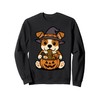 Spooky Jack Russell Terrier Pumpkin Japanese Ramen Noodles Sweatshirt