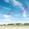 Wolkenstürmer® Mini Octopus (Rainbow) Children's Kite - Octopus Octopus Single