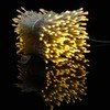 100 Feet 300 Warm White LED String Lights, Adapter with