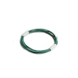 Belden 8503 / BELDEN #8503 Guitar Wiring Material Musical Instrument Wiring Material (1m, Green Color))