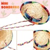 2 Pack Bearded Dragon Sombrero Hats - Lizard Cinco De