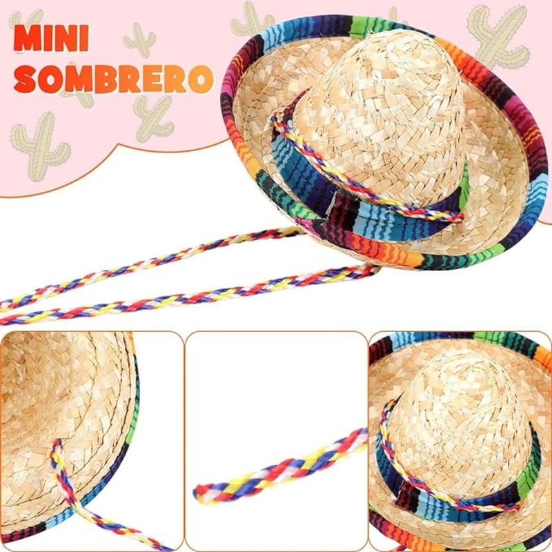 2 Pack Bearded Dragon Sombrero Hats - Lizard Cinco De