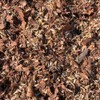 Duplex, Soil Aeration Mix, Duo of Ingredients for Indoor or