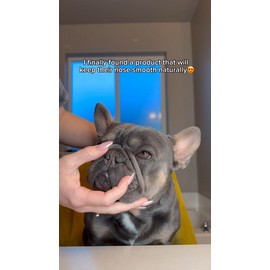 Squishface Nose Balm - Soothe & Protect Dry, Cracked Dog Snouts & Paws