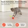 Potaroma Moving Ball Cat Toys with Feather Tail, Rechargeable 2025